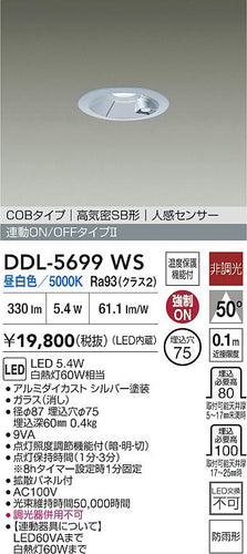 大光電機（DAIKO）屋外灯 DDL-5699WS