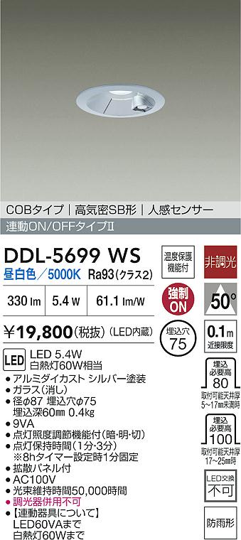 大光電機（DAIKO）屋外灯 DDL-5699WS
