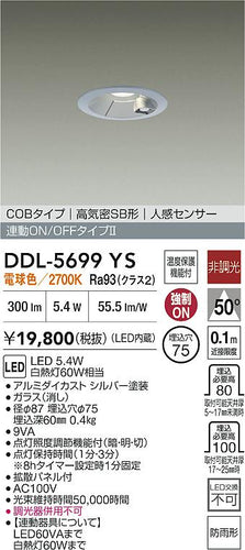 大光電機（DAIKO）屋外灯 DDL-5699YS