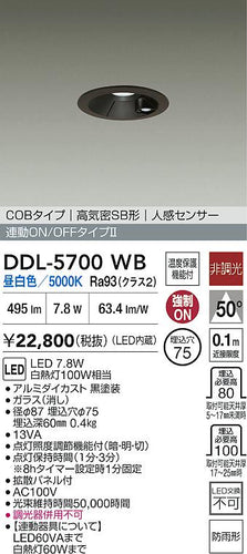 大光電機（DAIKO）屋外灯 DDL-5700WB