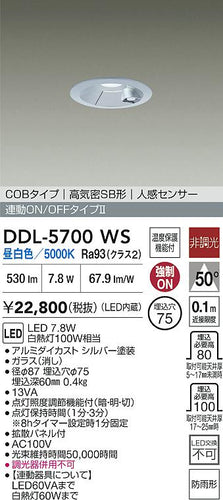 大光電機（DAIKO）屋外灯 DDL-5700WS