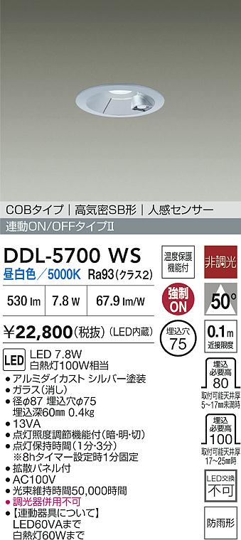 大光電機（DAIKO）屋外灯 DDL-5700WS