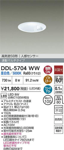 大光電機（DAIKO）屋外灯 DDL-5704WW