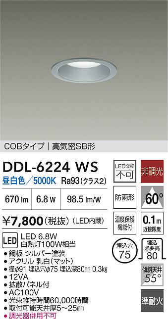 大光電機（DAIKO）屋外灯 DDL-6224WS
