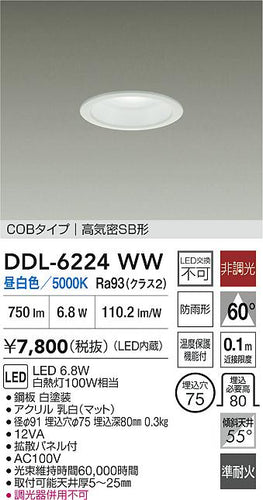 大光電機（DAIKO）屋外灯 DDL-6224WW