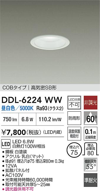 大光電機（DAIKO）屋外灯 DDL-6224WW