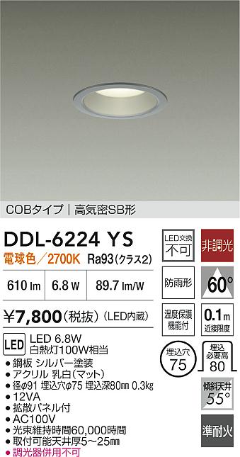 大光電機（DAIKO）屋外灯 DDL-6224YS