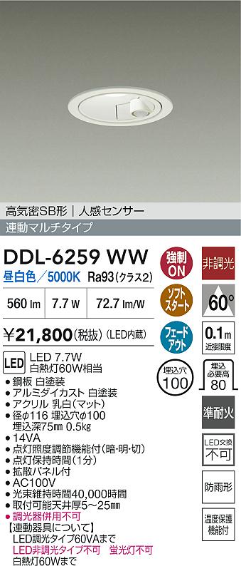 大光電機（DAIKO）屋外灯 DDL-6259WW