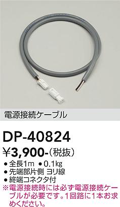 大光電機（DAIKO）屋外灯 DP-40824