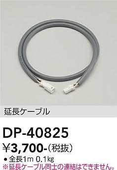 大光電機（DAIKO）屋外灯 DP-40825