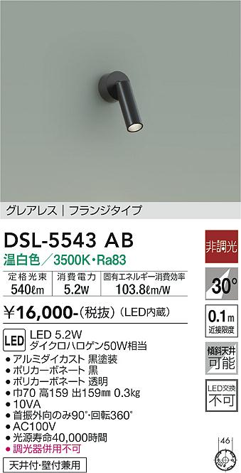 大光電機（DAIKO）スポットライト DSL-5543AB