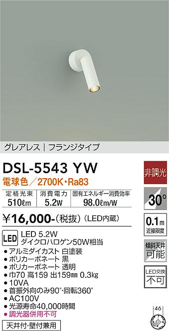 大光電機（DAIKO）スポットライト DSL-5543YW