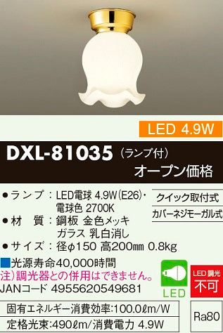大光電機（DAIKO）シーリングライト DXL-81035