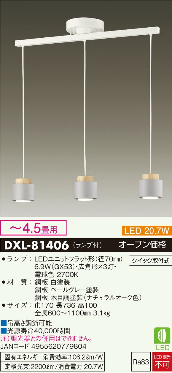 大光電機（DAIKO）ペンダント DXL-81406