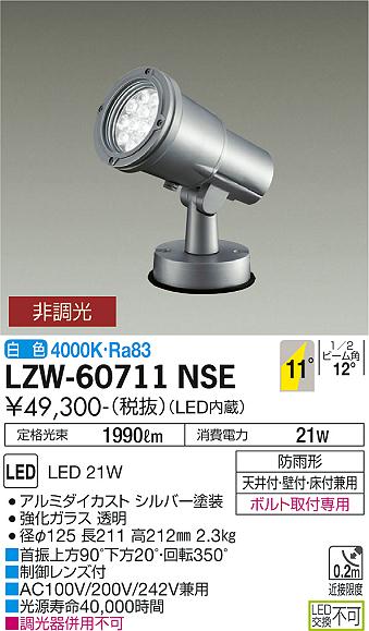 大光電機（DAIKO）屋外灯 LZW-60711NSE